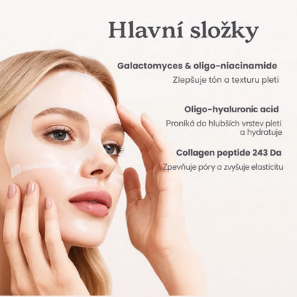 Hlavní složky bio-kolagenové masky